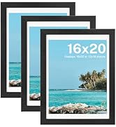 HOUSE DAY 16x20 Poster Frame MDF Wood and Polished Plexiglass 16 x 20 Picture Frame Black for Hor...