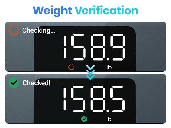 Weight Verification: The scale will confirm the accuracy of your of your weight measurement.