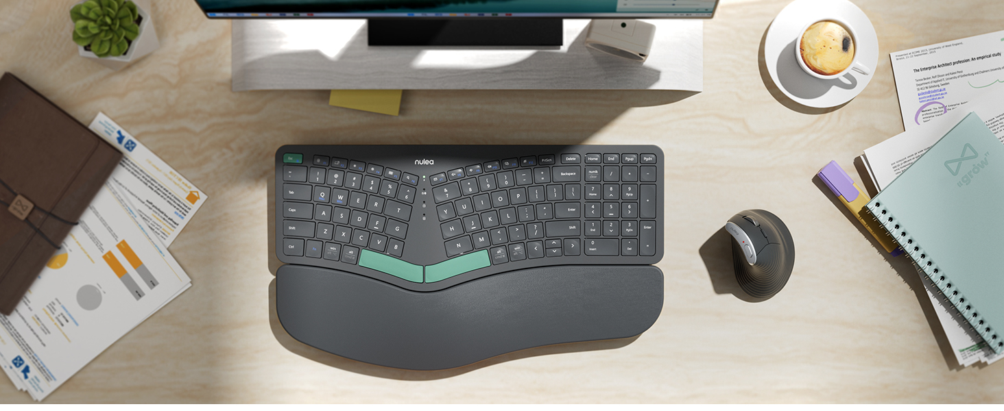 mouse