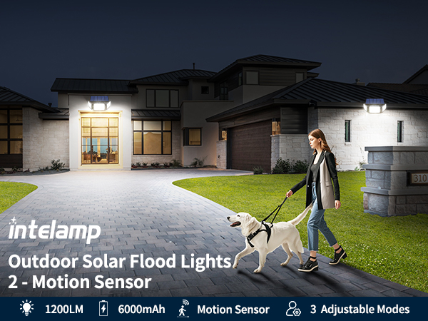 solar motion lights