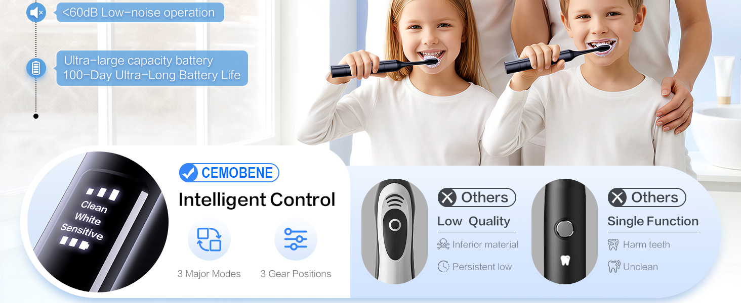 sonic electric toothbrush