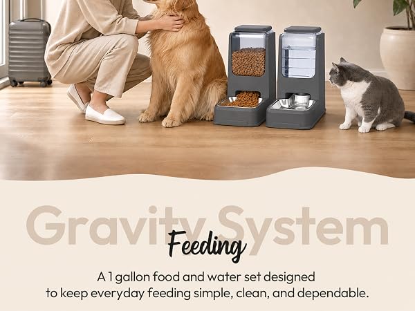 cat water dispenser