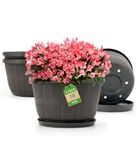https://m.media-amazon.com/images/S/aplus-media-library-service-media/ad12e90f-f10f-4023-b336-9506b430351b.__CR0,0,800,900_PT0_SX200_V1___.png