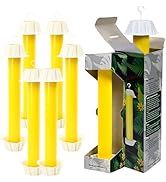 Gideal 6-Pack Yellow Sticky Traps for Indoor/Outdoor Use, Gnat Trap for Flying Plant Insect