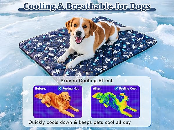 dog cooling mat