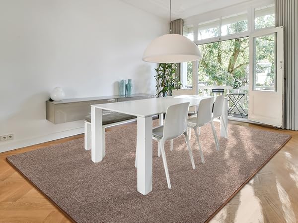 dinning room and kitchen rug