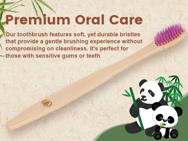 Bamboo Toothbrushes