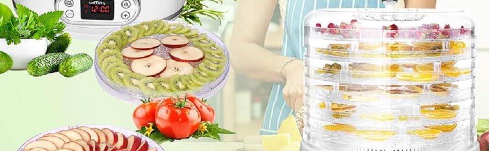 Silicone Steamer Mesh Baking Mat for Fruit Dryer