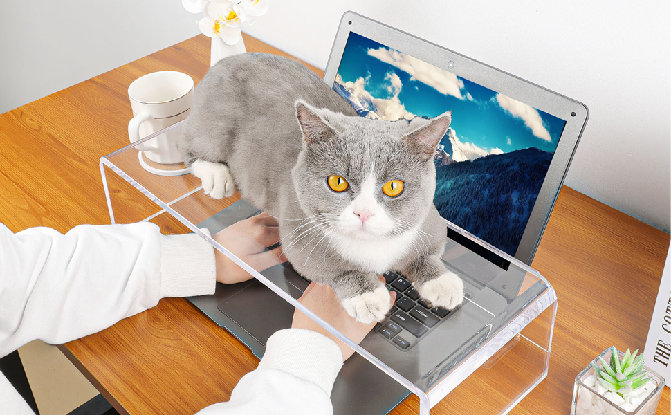 Computer Monitor Stand