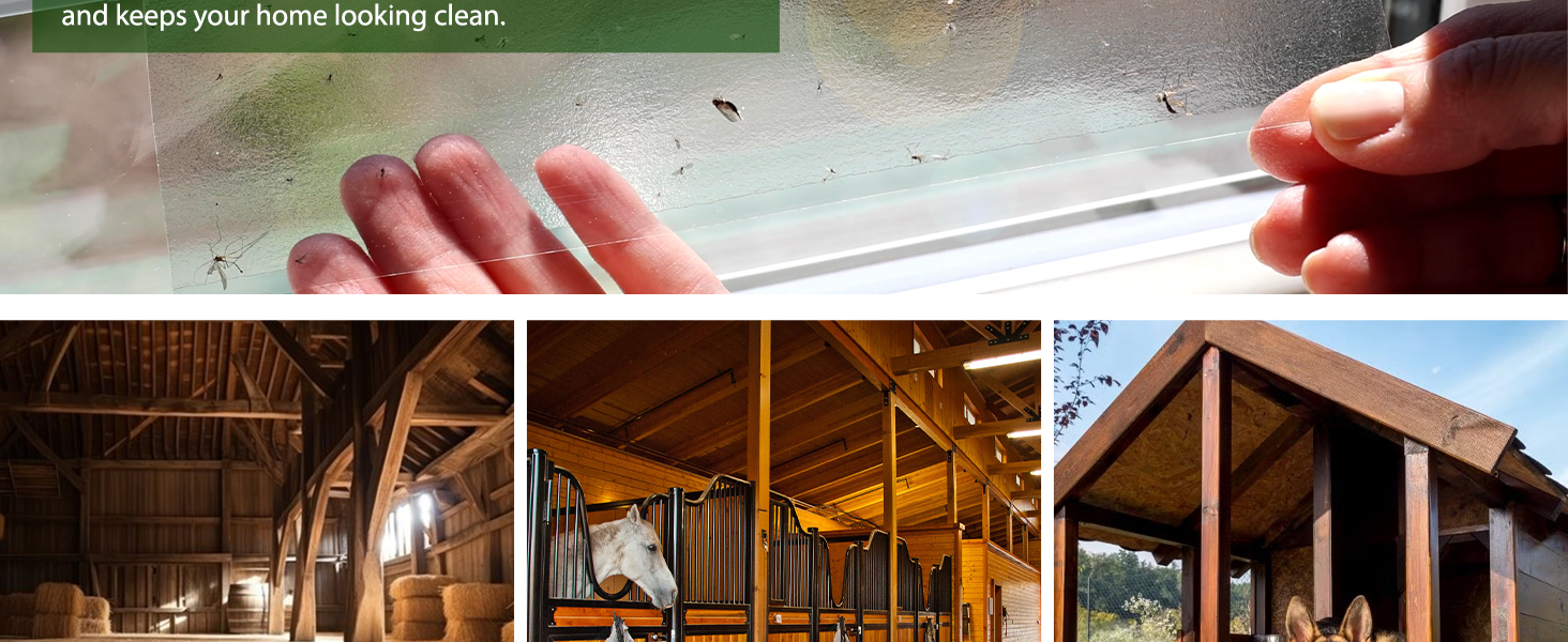 Window fly trap