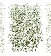 100Pcs White Baby’s Breath Dried Pressed Flowers - 4'' Real Natural Flat Flower Bulk Pack for Res...
