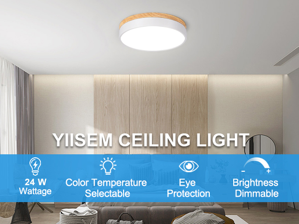 led ceiling light
