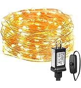 LE String Lights 33ft with 100 LEDs, Waterproof Copper Wire Lights, Outdoor &amp; Indoor Decorative F...