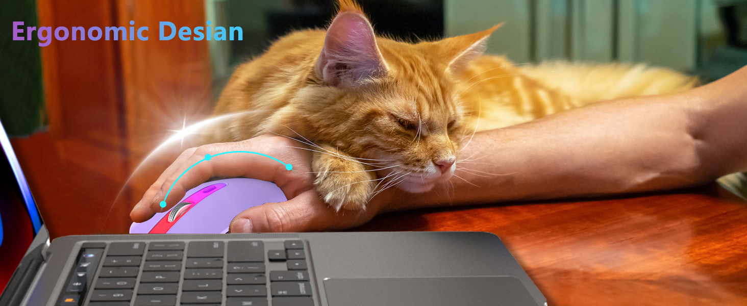 Wireless Bluetooth Mouse