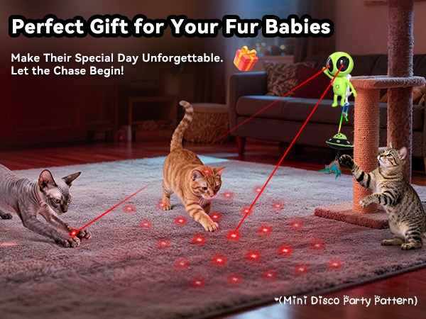 kitten toys 