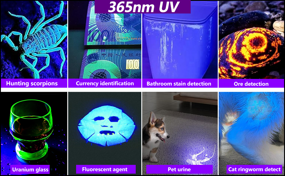 UV Flashlight Blacklight