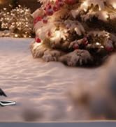 Outdoor Electrical Box