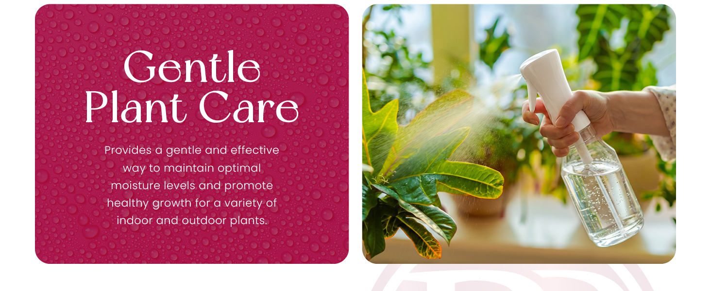 Beautify Beauties Spray Bottles. Gentle Plant Care.