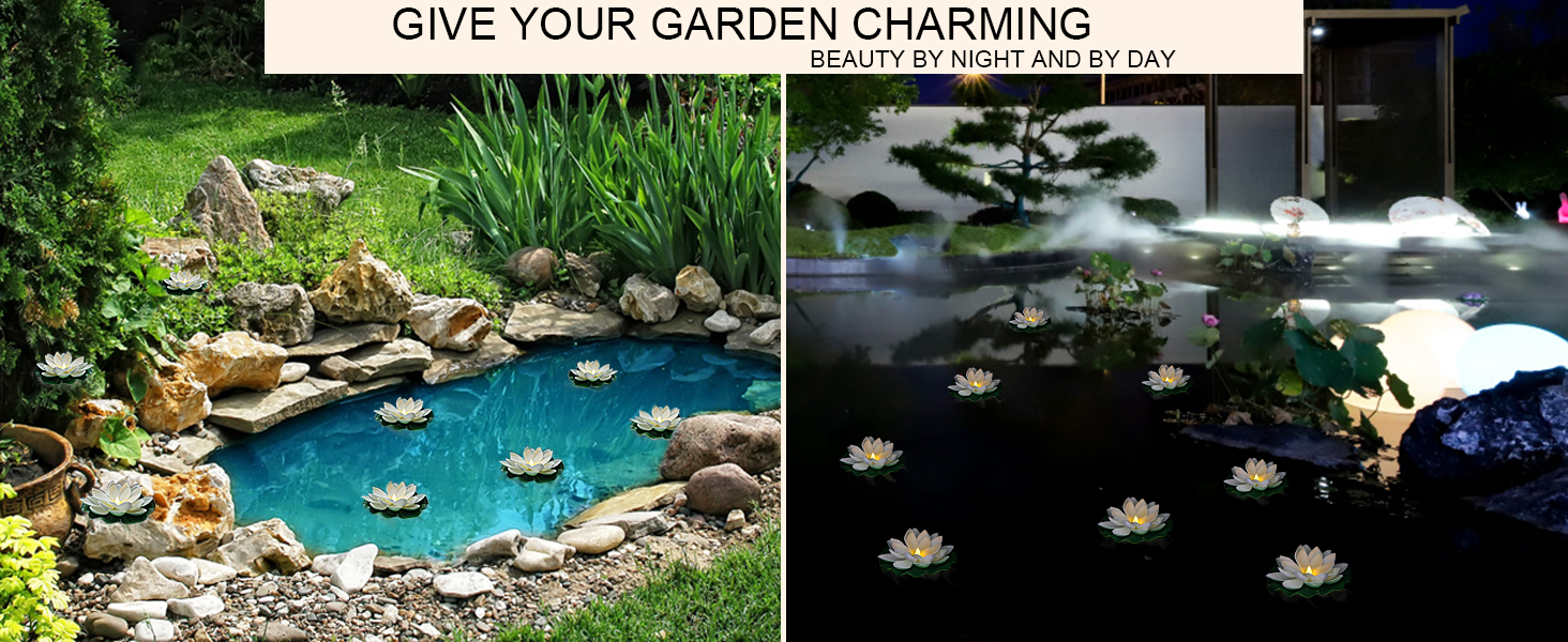 Floating Lotus Flower