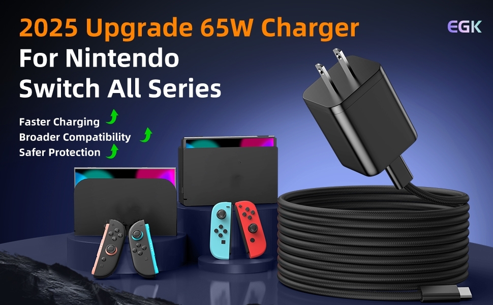 switch charger