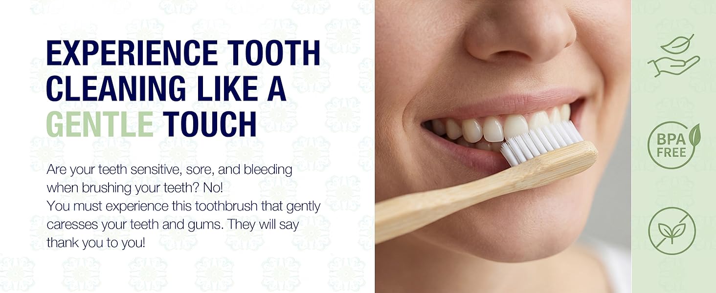 Toothbrush Adult