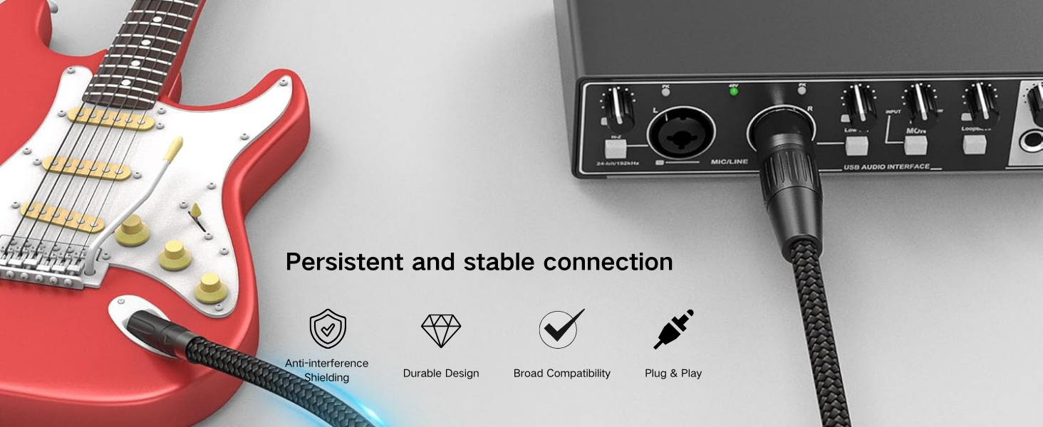 6.35mm to XLR Balanced Audio Cord