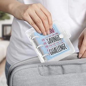money saving binder 1000