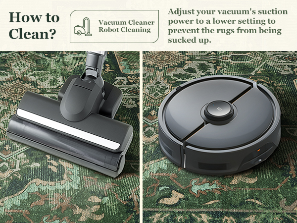 vacuum cleaner&amp; robot cleaning