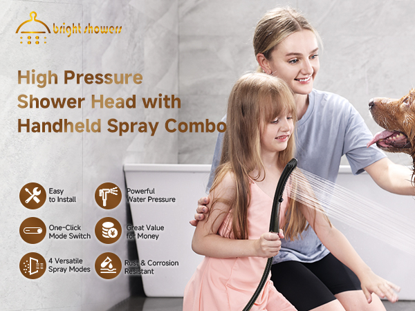 shower head with handheld