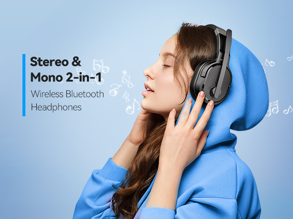 Stereo&amp;amp;amp;Mono 2-in-1