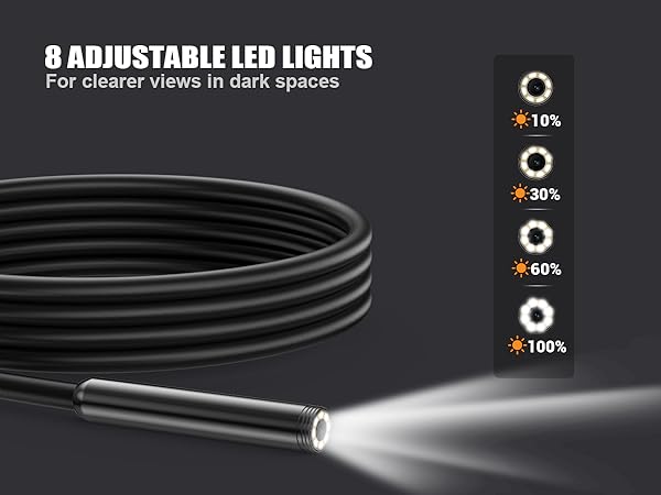 endoscope