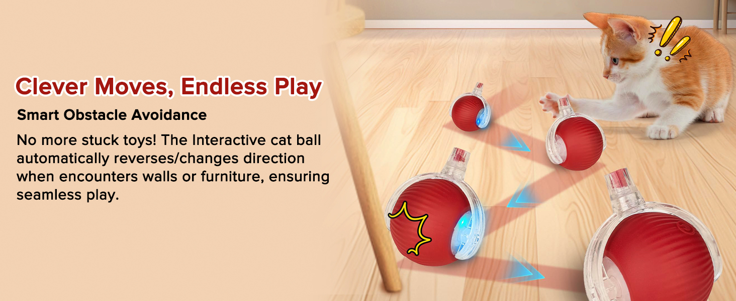 cat toy ball