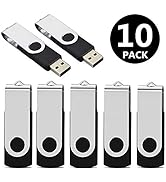 Aiibe 10 Pack 8GB USB Flash Drive Flash Drives USB 2.0 Thumb Drive Memory Stick Zip Drives Bulk (...
