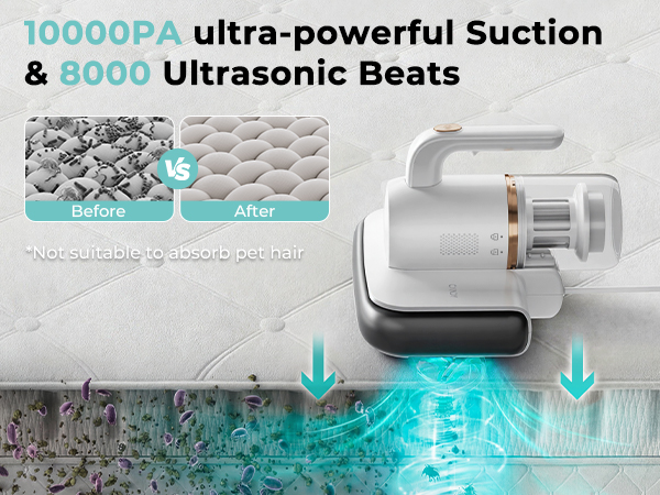 10000PA ultra-powerful Suction &amp;amp; 8000 Ultrasonic Beats