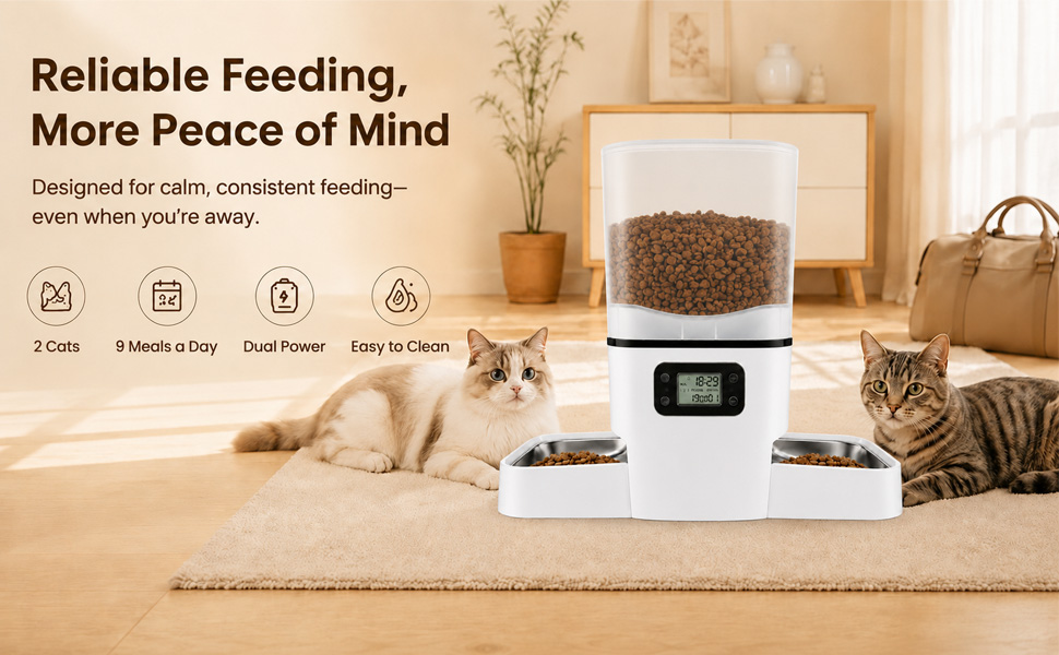 automatic cat feeder