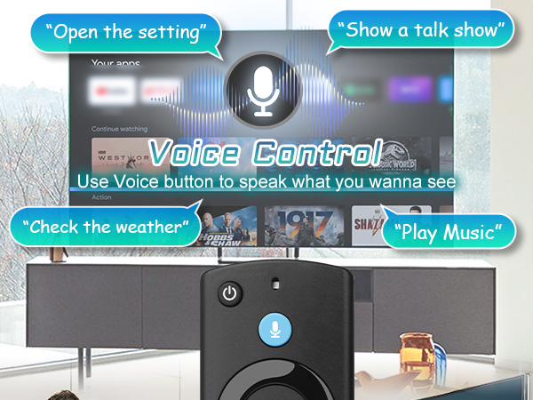 Voice Remote Replacement 