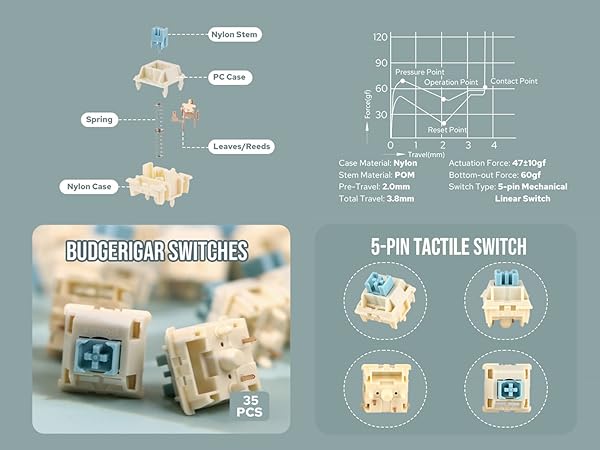 EPOMAKER Tactile/Clicky Switches