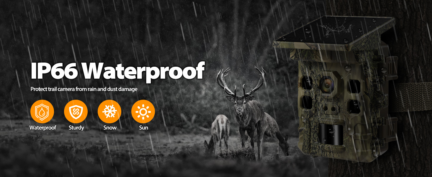 trail camera