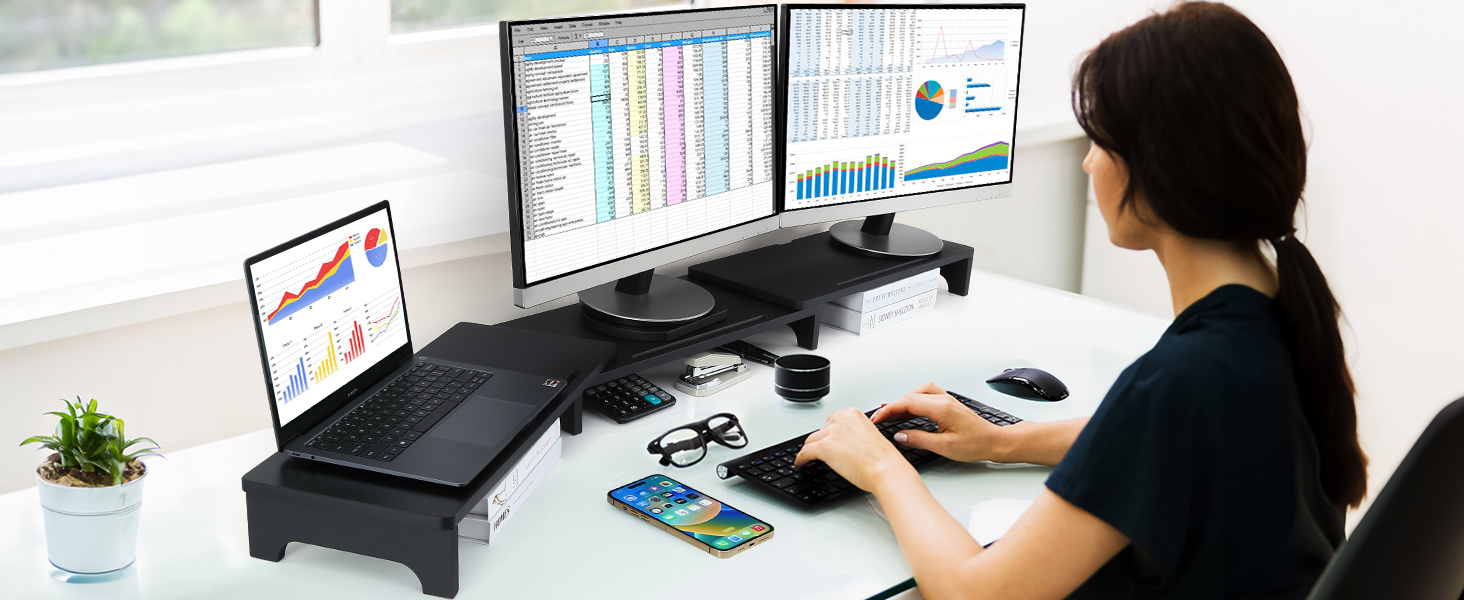 Dual Monitor Stand for Desk