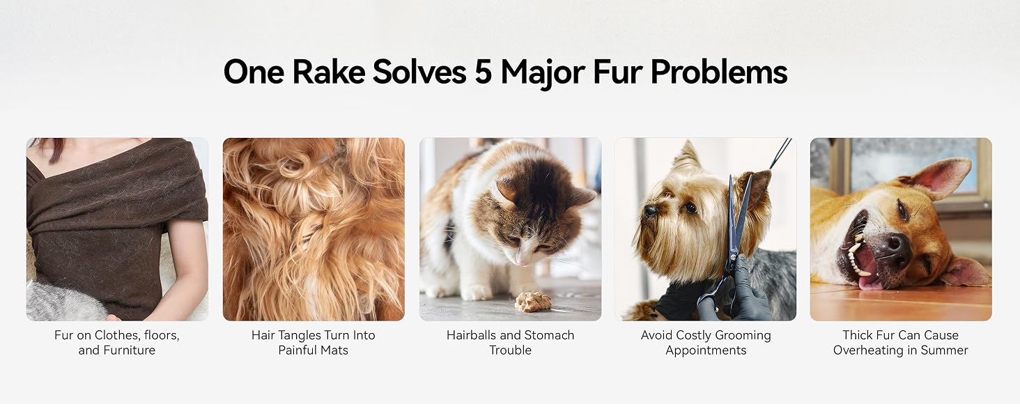 cat brush for long haired cats