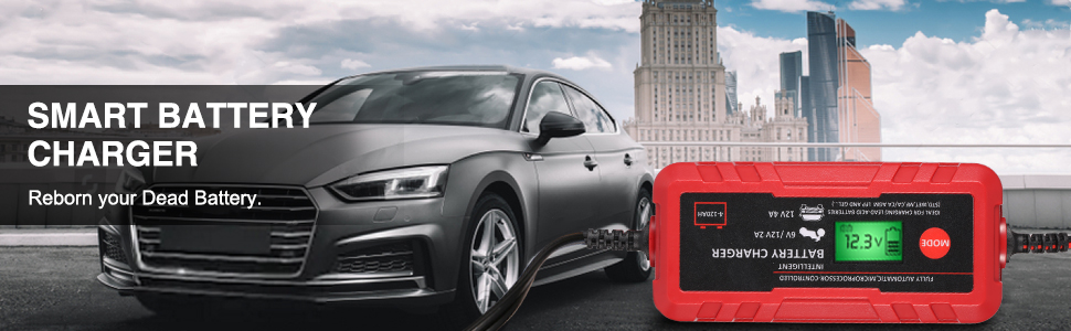 Smart Battery Charger