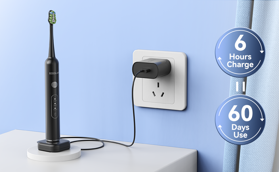 Rechargeable Electric Toothbrush