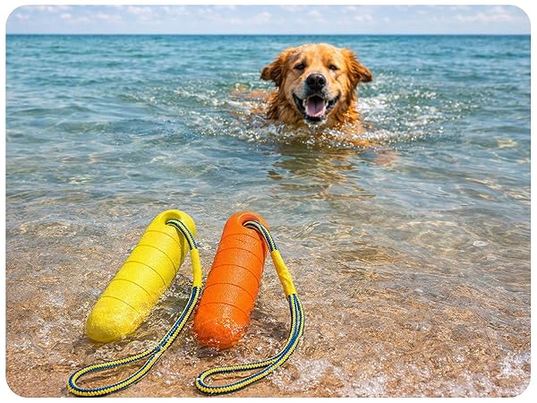 pool diving toys swim toys dog floats for pool interactive large dogs indestructible dog toy