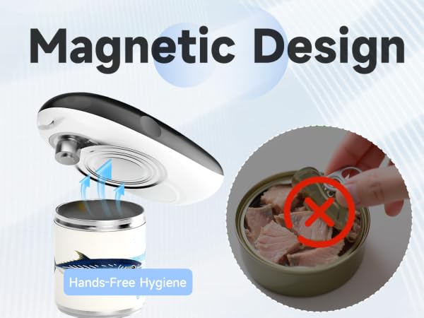 MAGNETIC DESIGN