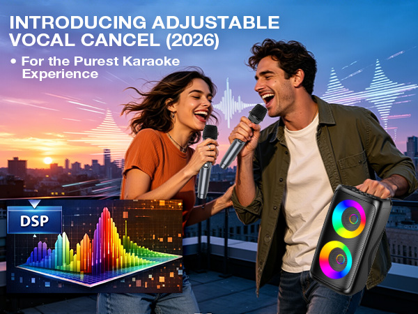 karaoke machine for adult