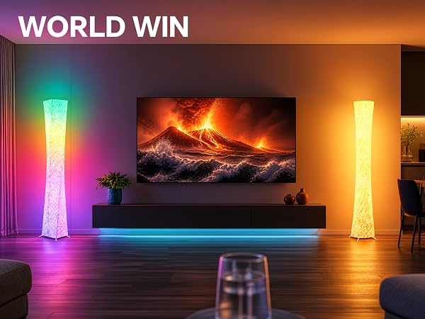 RGB Floor Lamp
