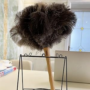 High Quality Ostrich Feather Dusters