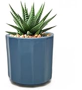 Perilla Home Single Ceramic Handmade Planter Pot for Indoor &amp; Outdoor with Drainage Hole for Home...
