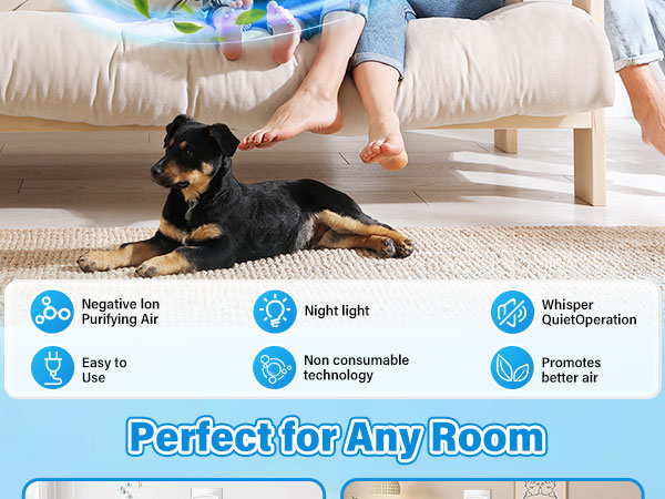 perfect for any room