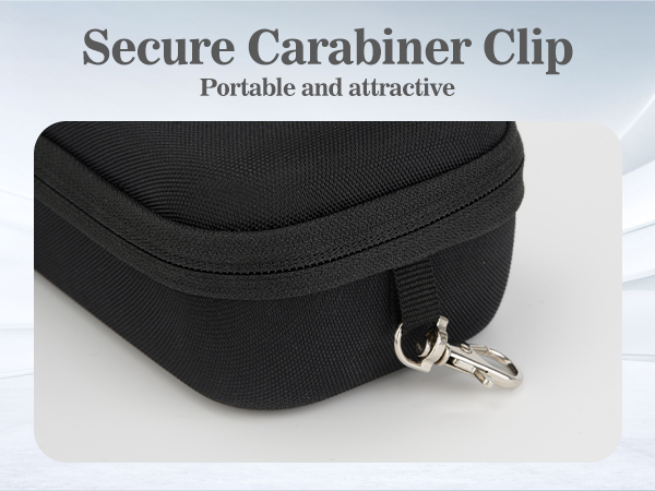 travel sunglasses organizer